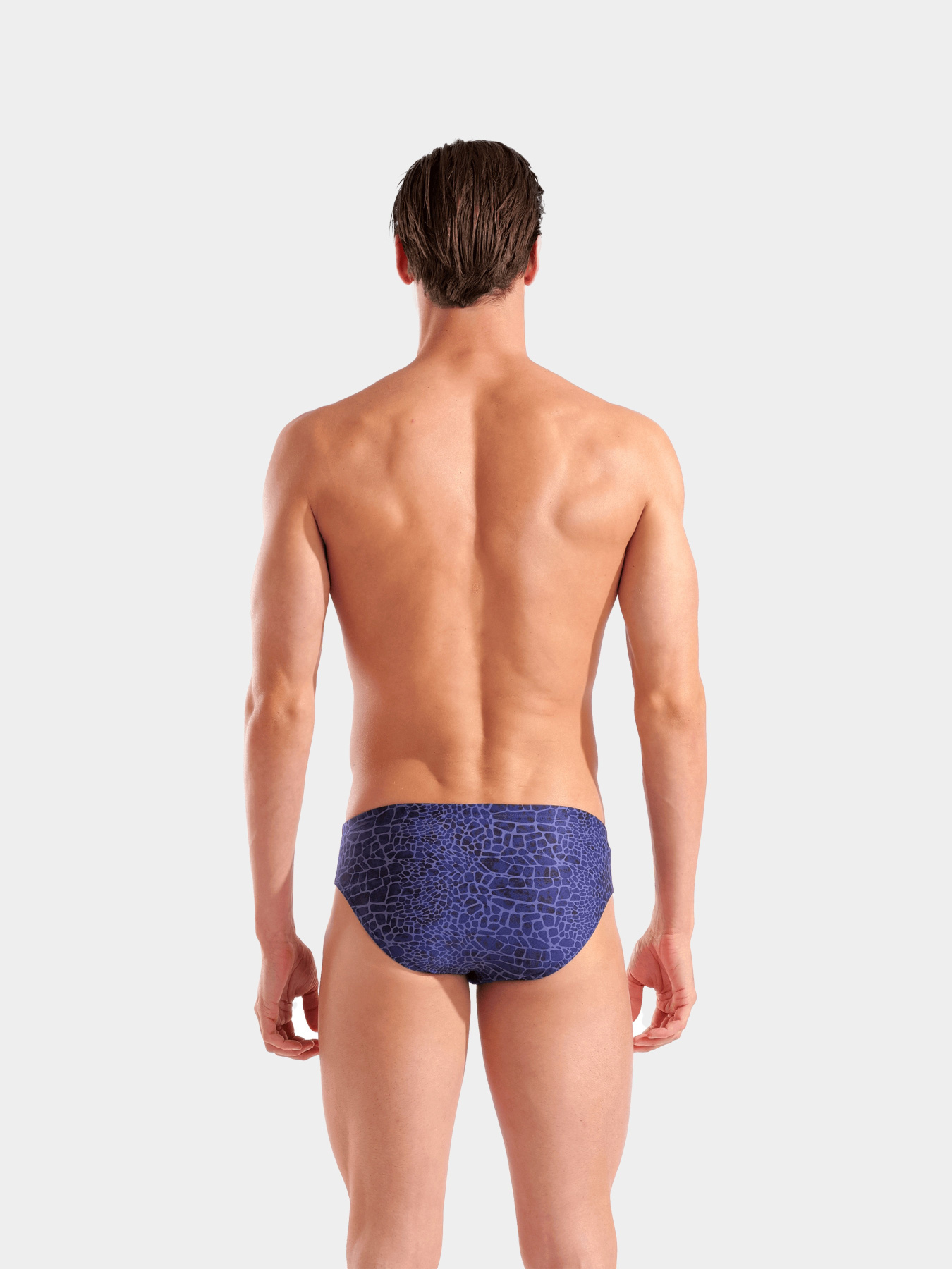 Плавки Arena модель 010162-700 Фото