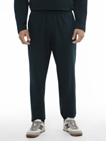 Штани повсякденні Promin модель 1040-69_418 Фото