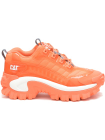 Кросівки модель P111573 Фото