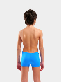 Плавки Arena модель 009008-806 Фото