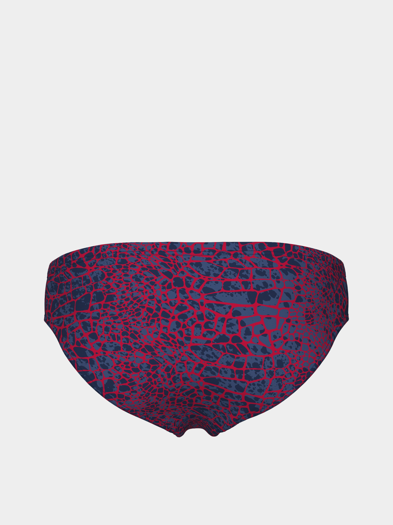 Плавки Arena модель 010162-417 Фото