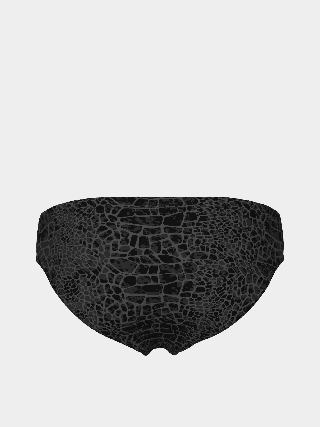 Плавки Arena модель 010162-500 Фото