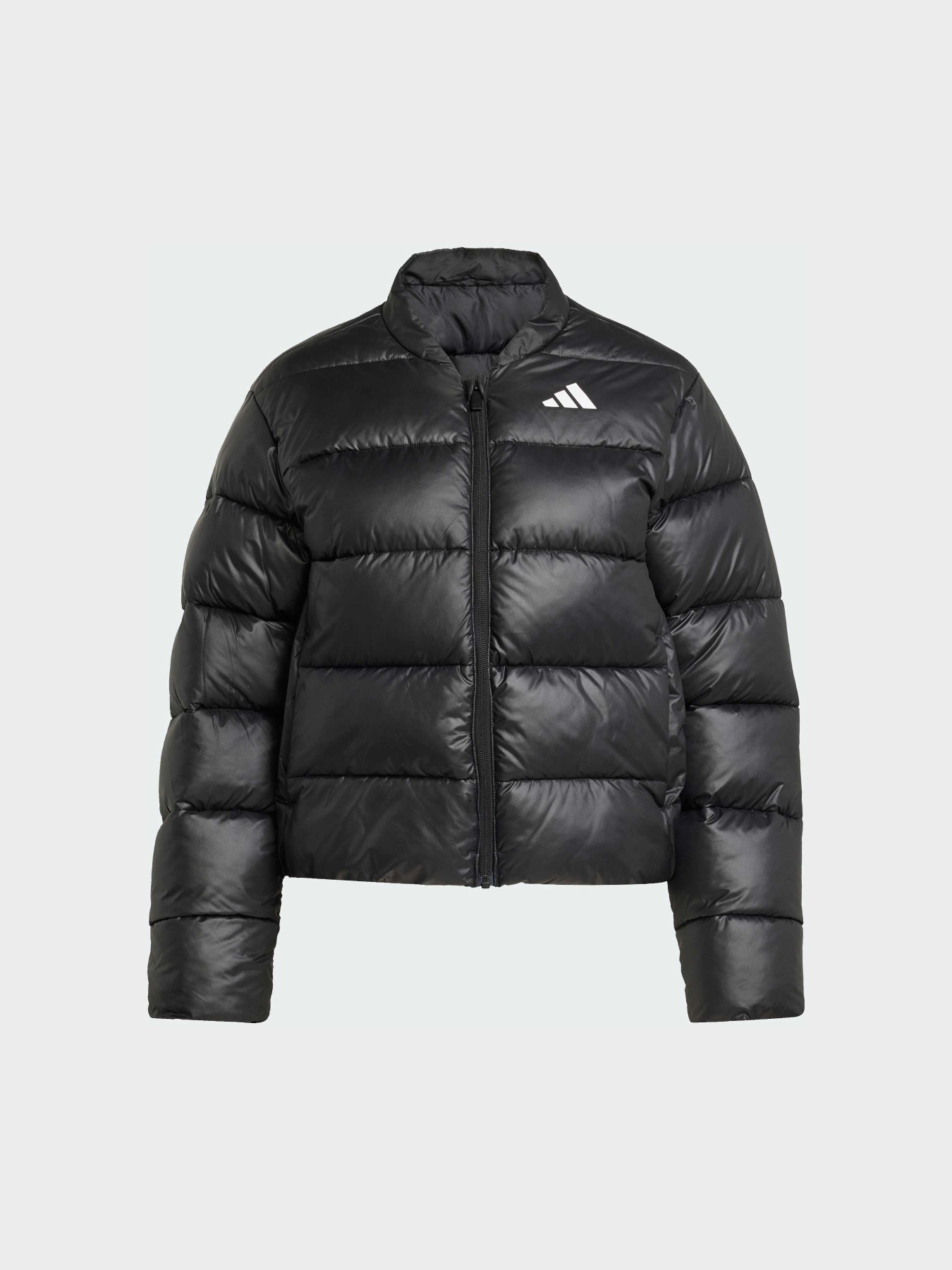 Пуховик Adidas модель JX7825 Фото
