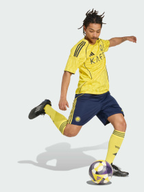 Шорты спортивные Adidas модель JN7984 Фото