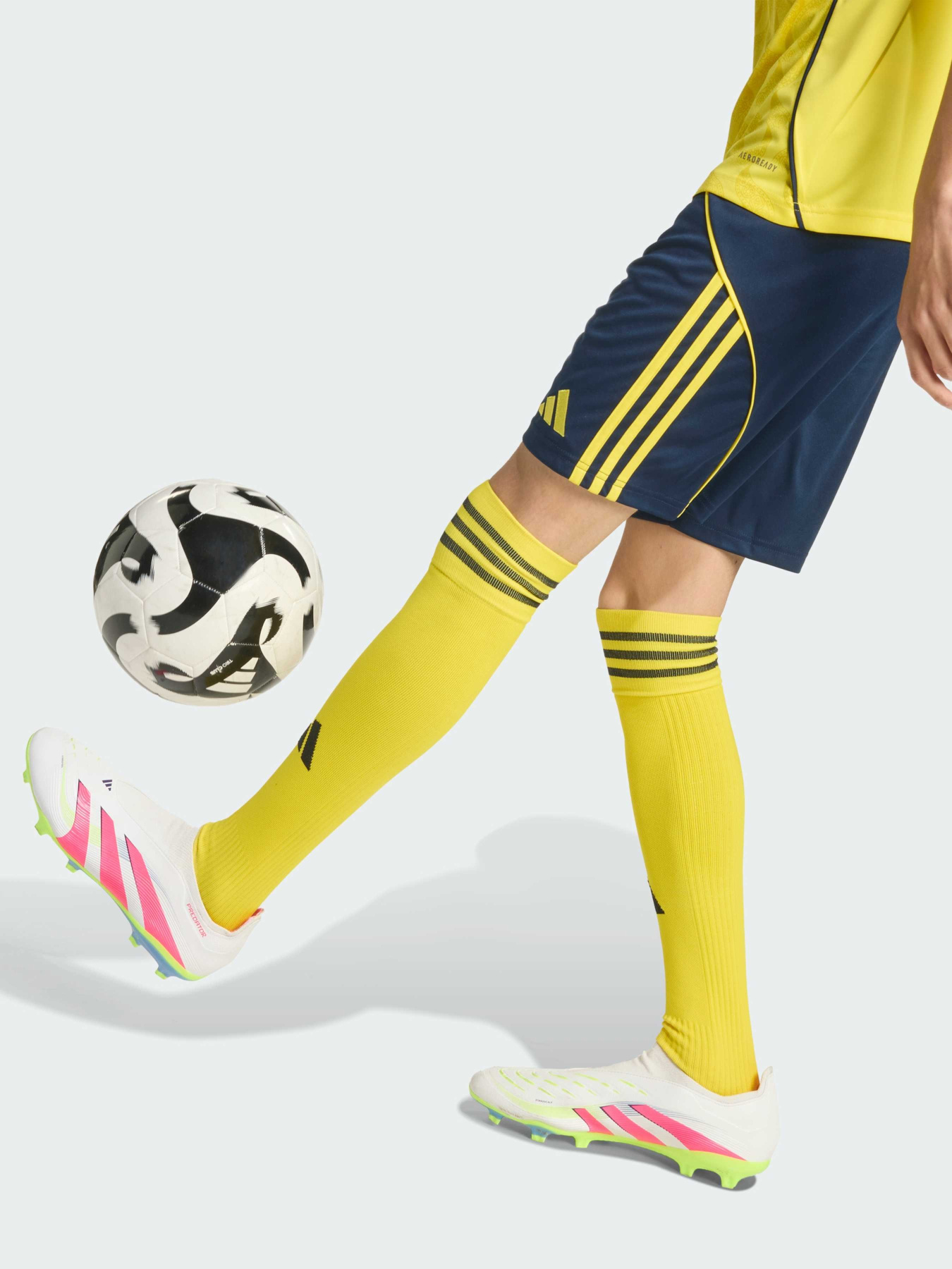 Шорты спортивные Adidas модель JN7985 Фото