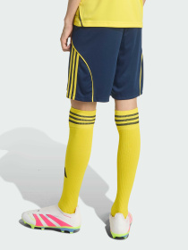 Шорты спортивные Adidas модель JN7985 Фото