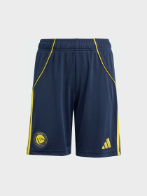 Шорты спортивные Adidas модель JN7985 Фото