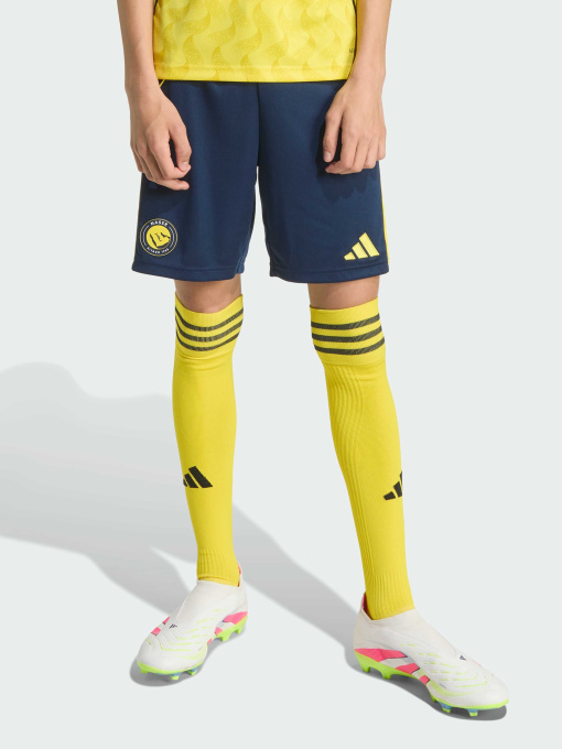 Спортивні шорти Adidas модель JN7985 Фото