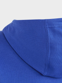 Худи Adidas модель IC6834 Фото