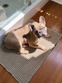 Набір килимків для ванної /туалету вафельний 2шт. Сірий Lovely Svi  модель 1237253 Фото