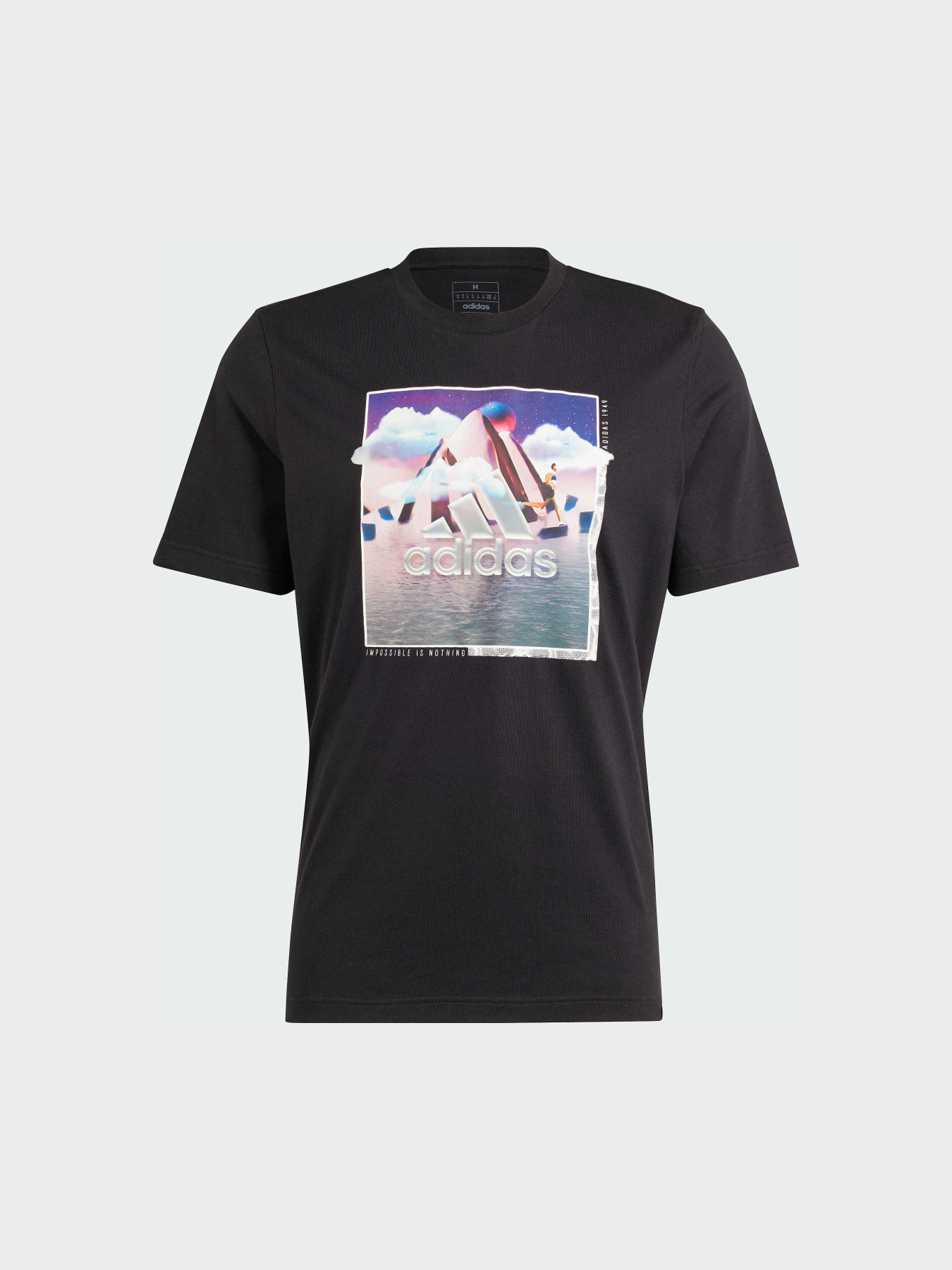 Футболка Adidas Graphics модель IS2869 Фото