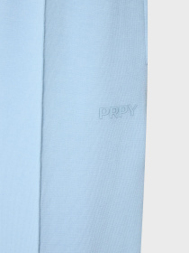 Спортивні штани PRPY модель PWSPPHZE0038 Фото