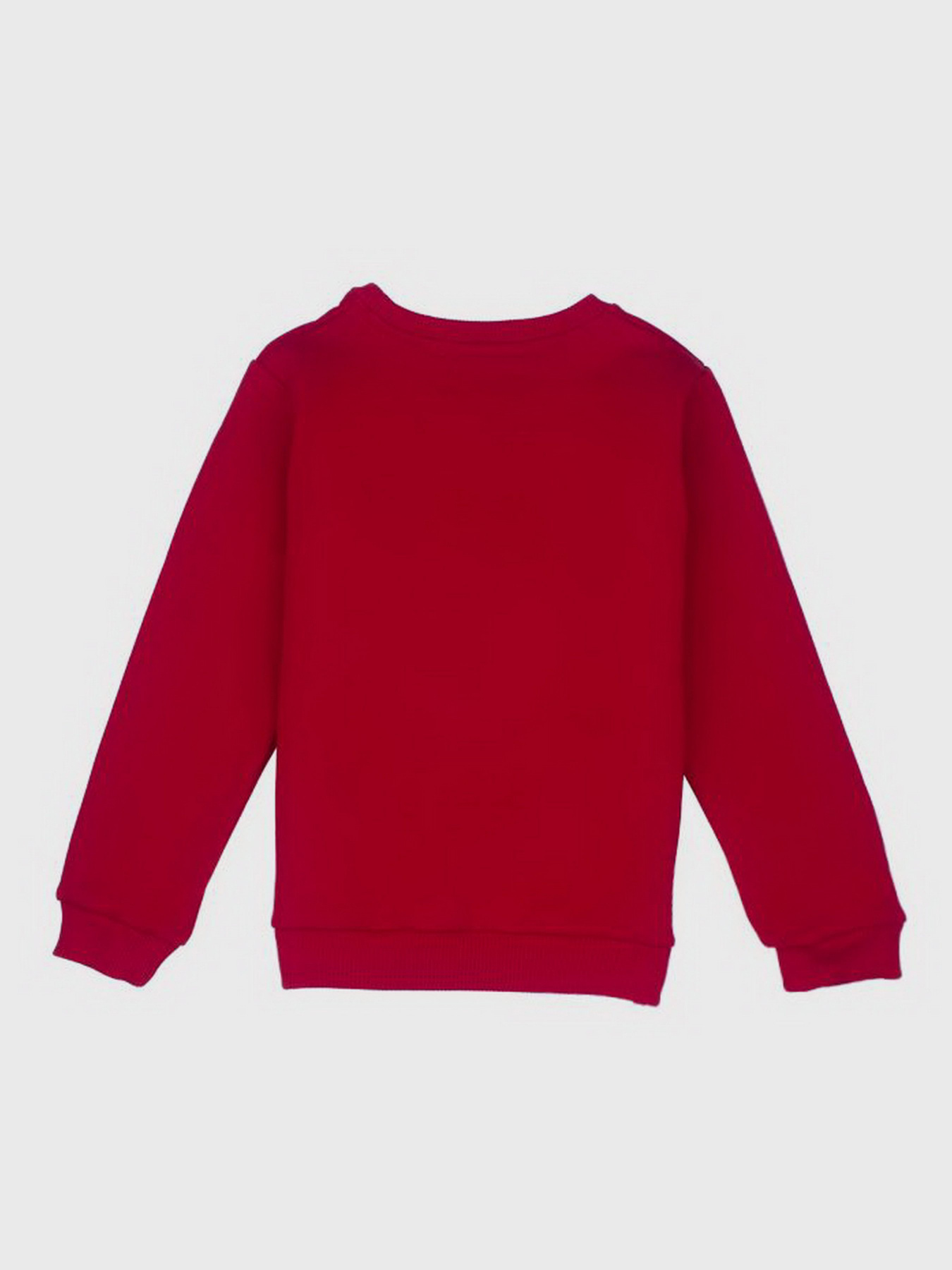 Свитшот YUMSTER модель YI.12.09.008 Фото