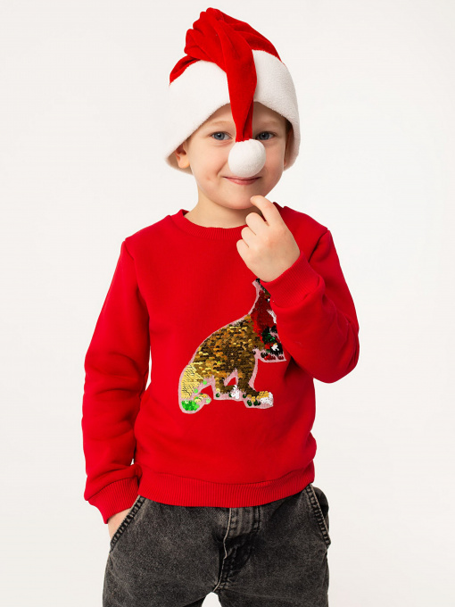 Худі та світшоти YUMSTER модель YI.12.09.008-B Фото