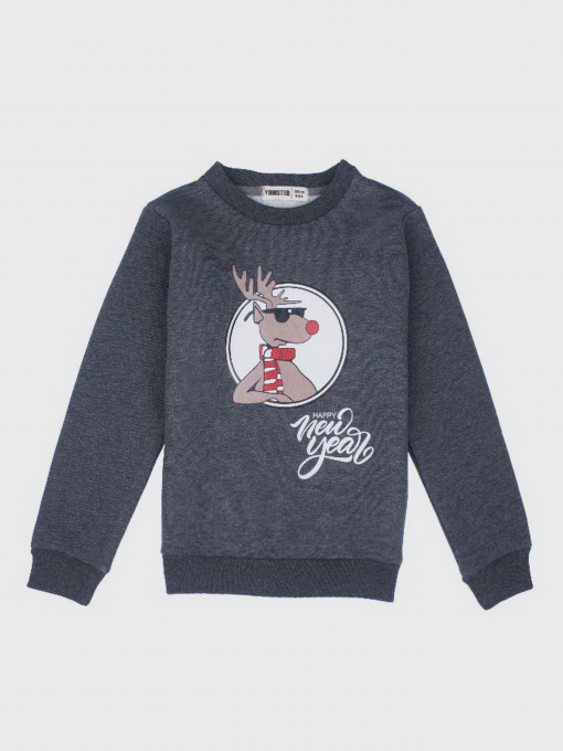 Свитшот YUMSTER модель YI.12.09.007 Фото