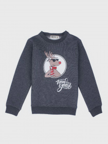 Свитшот YUMSTER модель YI.12.09.007 Фото