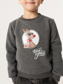 Худі та світшоти YUMSTER модель YI.12.09.007-B Фото