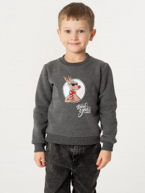 Худі та світшоти YUMSTER модель YI.12.09.007-B Фото