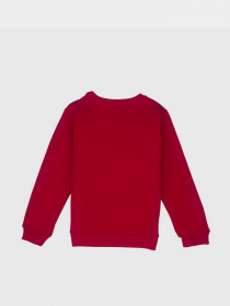 Свитшот YUMSTER модель YI.22.09.005-B Фото