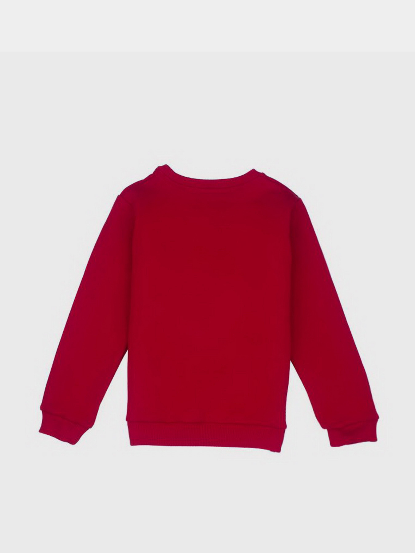 Свитшот YUMSTER модель YI.22.09.005-B Фото