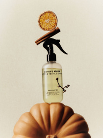 Парфюмированный спрей для дома PUMPKIN SPICE Sister’s Aroma модель 4820227786039 Фото