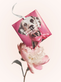 Ароматическое саше PEONY Sister’s Aroma модель 4820227785933 Фото