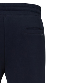 Штаны спортивные Pierre Cardin модель C5 40666.4044.6325 Фото