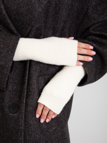 Варежки Famo модель M-202310_01 Фото