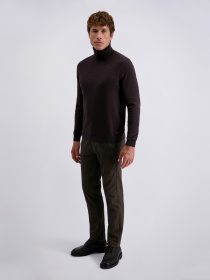 Свитер Pierre Cardin модель C5 51713.5133.8301 Фото