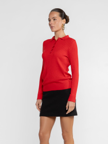 Поло Arber модель W10.13.04.534 Фото