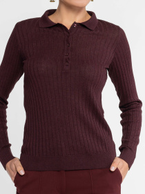 Поло Arber модель W10.14.18.533 Фото