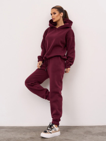 Спортивный костюм ISSA Plus модель 15350_темно-бордовый Фото