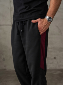 Штани спортивні ISSA Plus модель GN-542_черный Фото