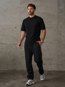 Спортивні штани ISSA Plus модель GN-542_черный Фото