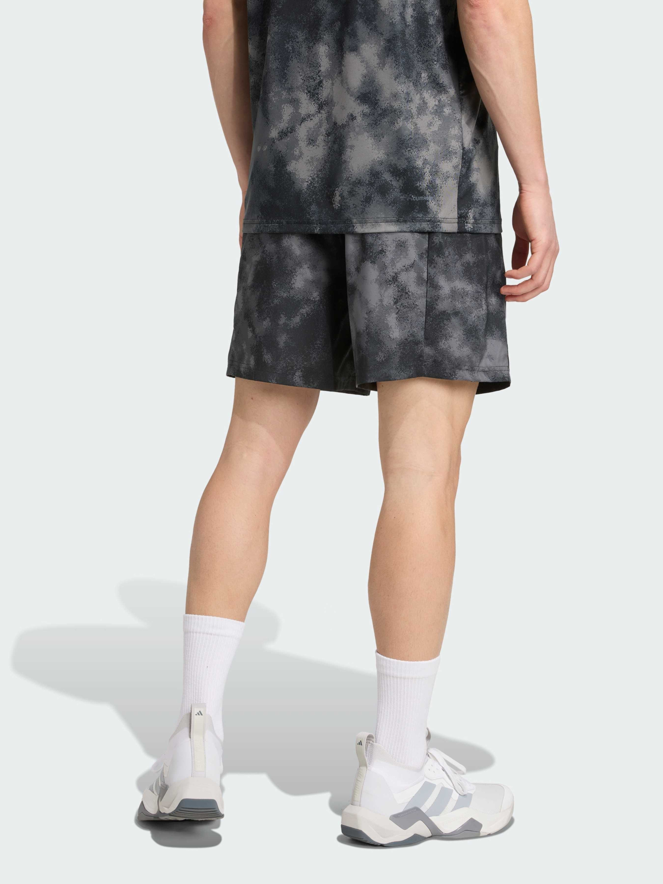 Спортивні шорти Adidas модель JV7246 Фото