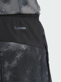 Спортивні шорти Adidas модель JV7246 Фото