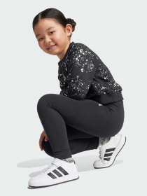 Спортивный костюм Adidas модель JN2227 Фото