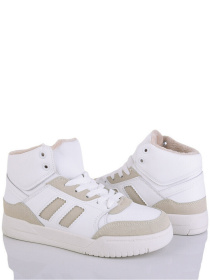 Черевики Stilli модель ADMN500-7 Фото