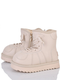 Чоботи Paliament модель AN606-2 Фото