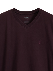 Піжама Atlantic модель NMP-389_WIN_CZA Фото