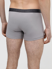 Набор трусов Chikiss модель 2CMH002-01 Фото