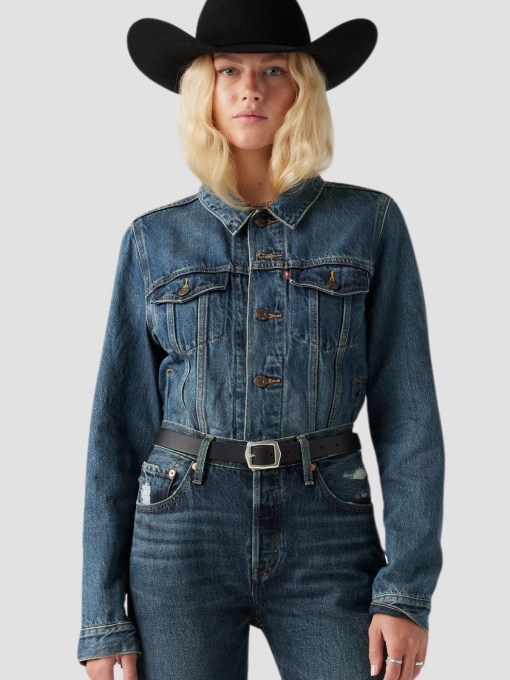 Куртки и дубленки Levi's модель 29945-0063 Фото