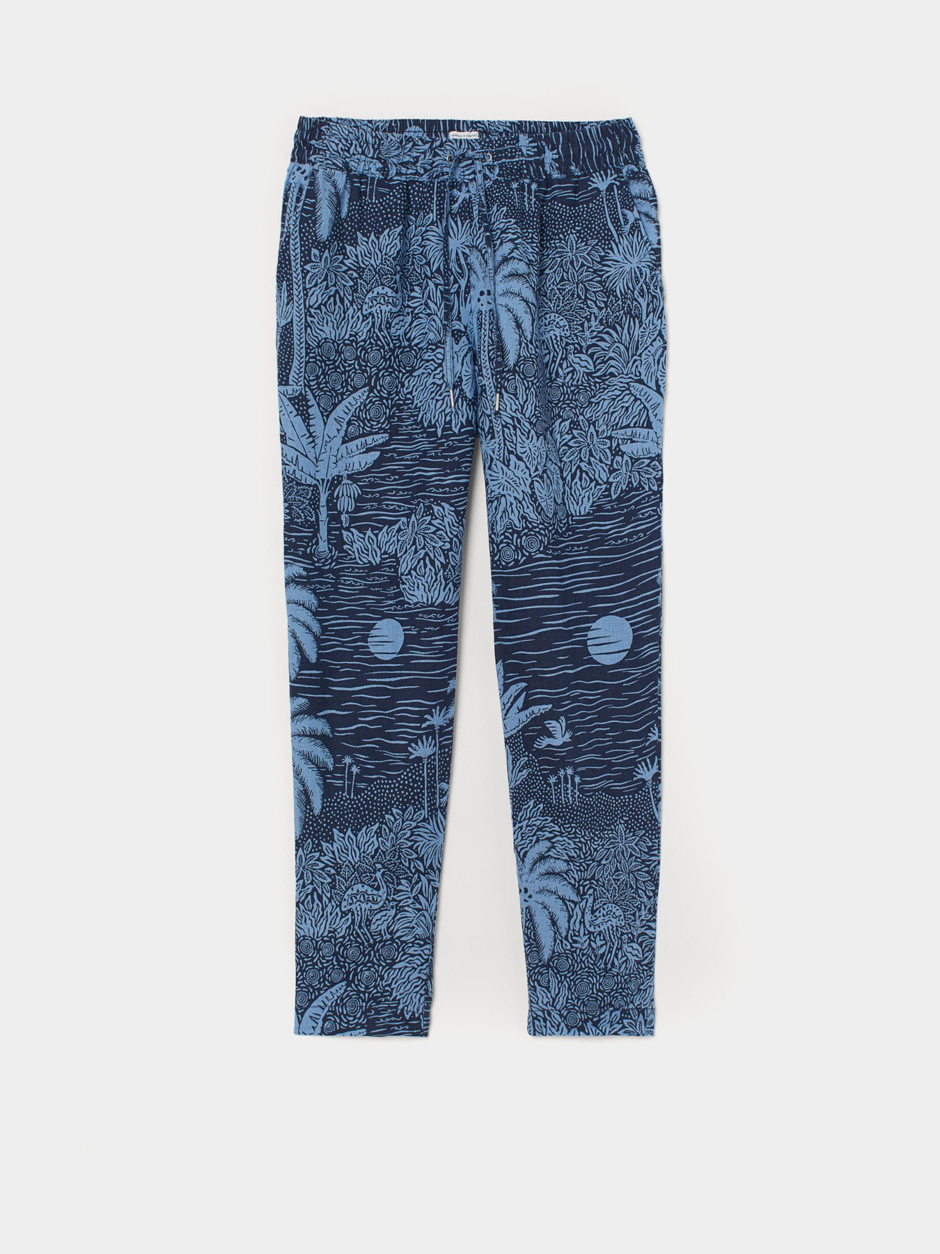 Повседневные штаны H&M модель 8691891wer_Синий Фото