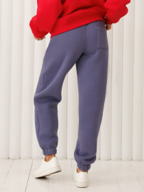 Штани спортивні Leinle модель 4023 Фото