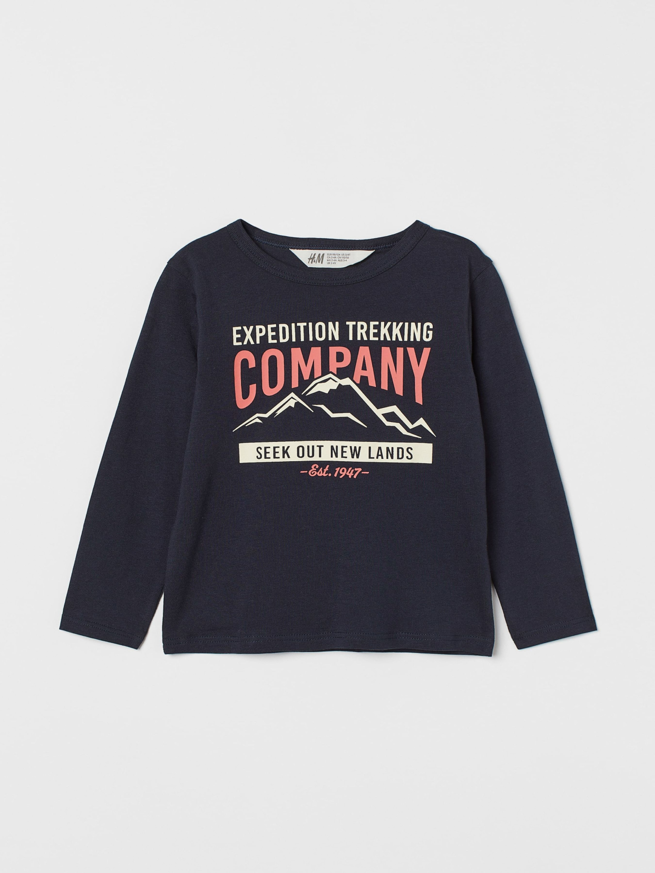 Лонгслив H&M модель 79095 Фото