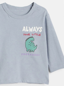 Лонгслив H&M модель 79272 Фото