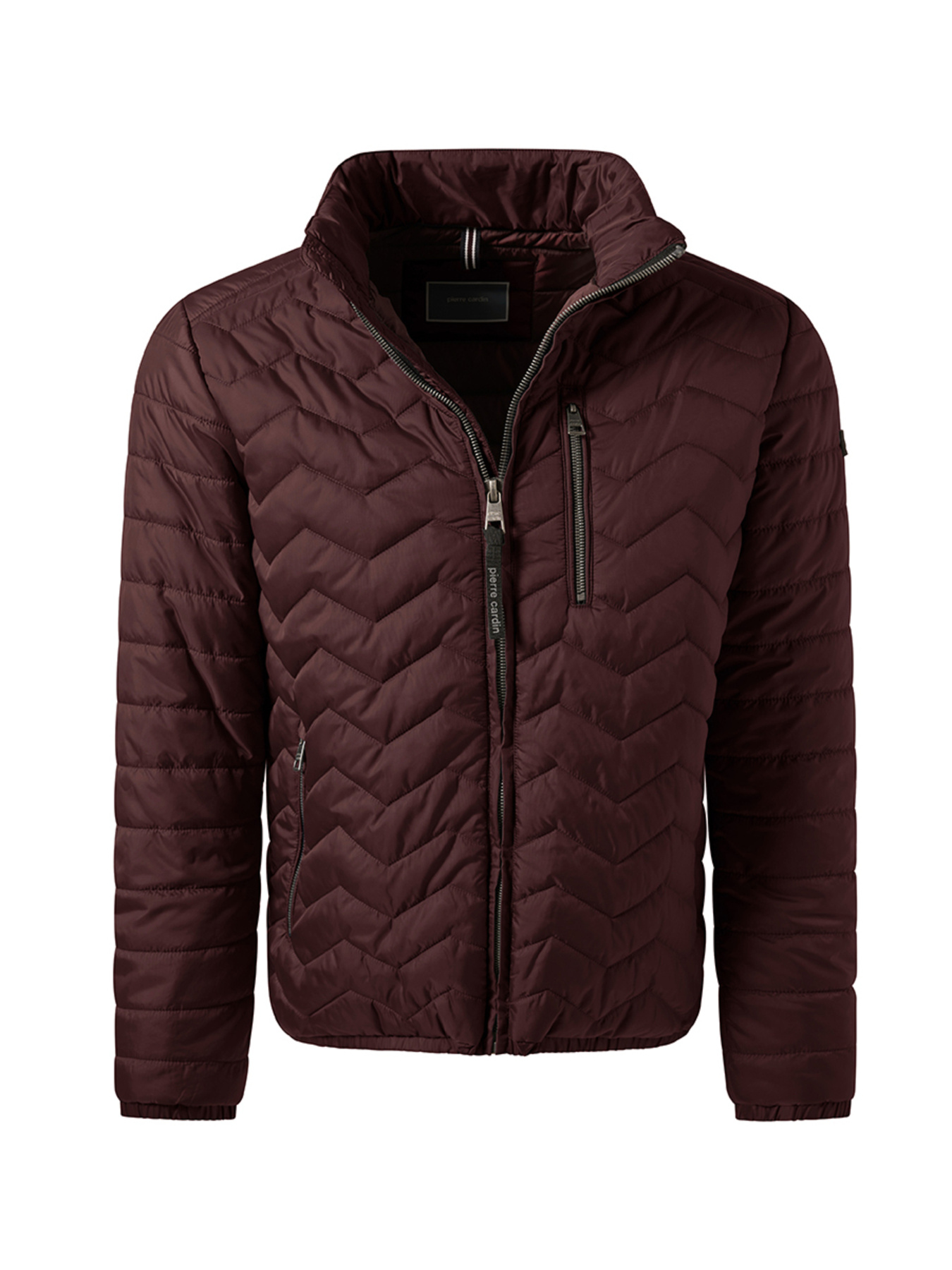 Демисезонная куртка Pierre Cardin модель C8 10172.0090.4313 Фото