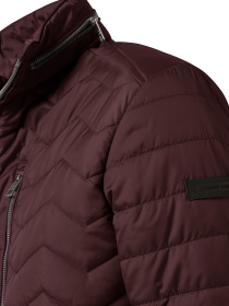 Демисезонная куртка Pierre Cardin модель C8 10172.0090.4313 Фото