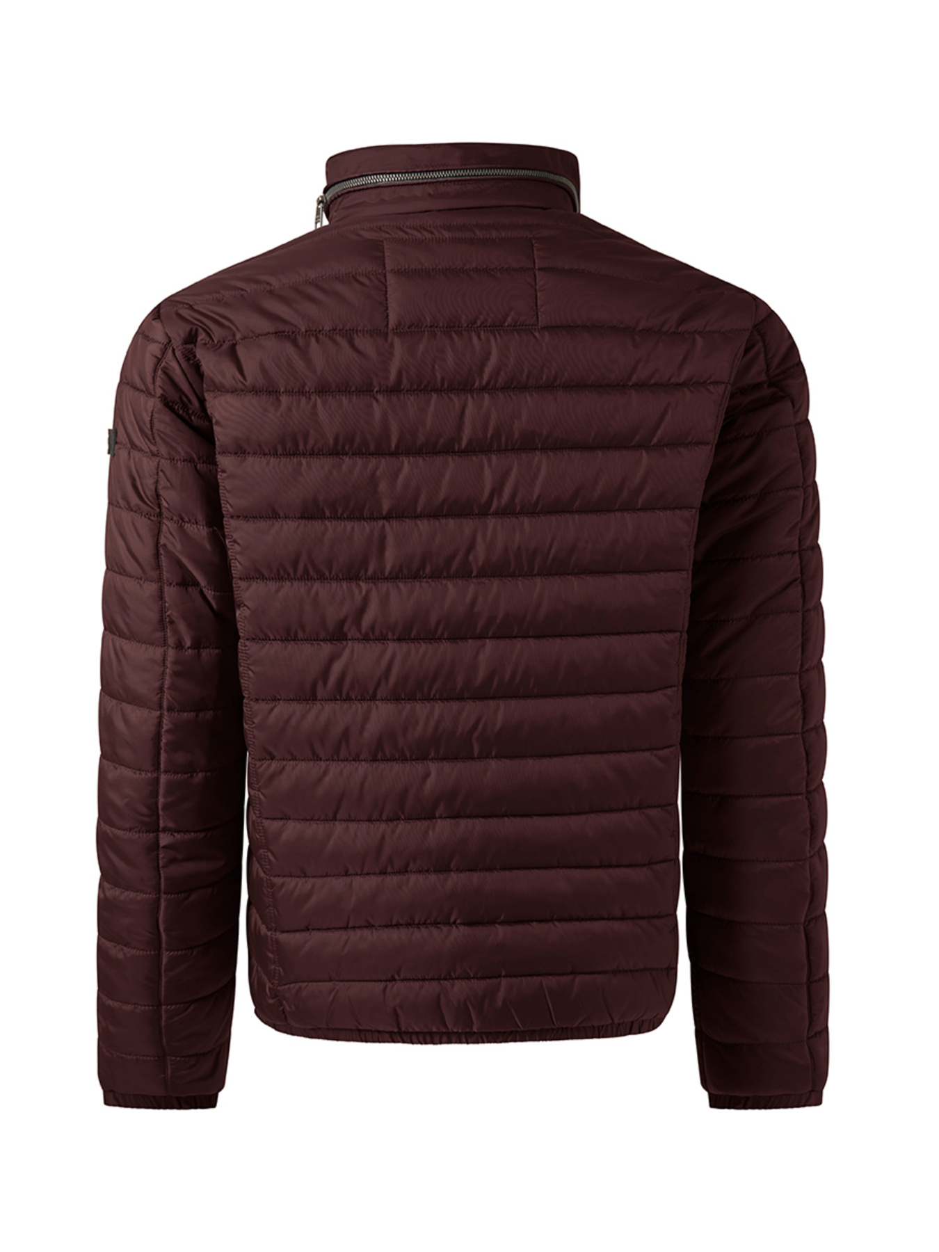 Демисезонная куртка Pierre Cardin модель C8 10172.0090.4313 Фото