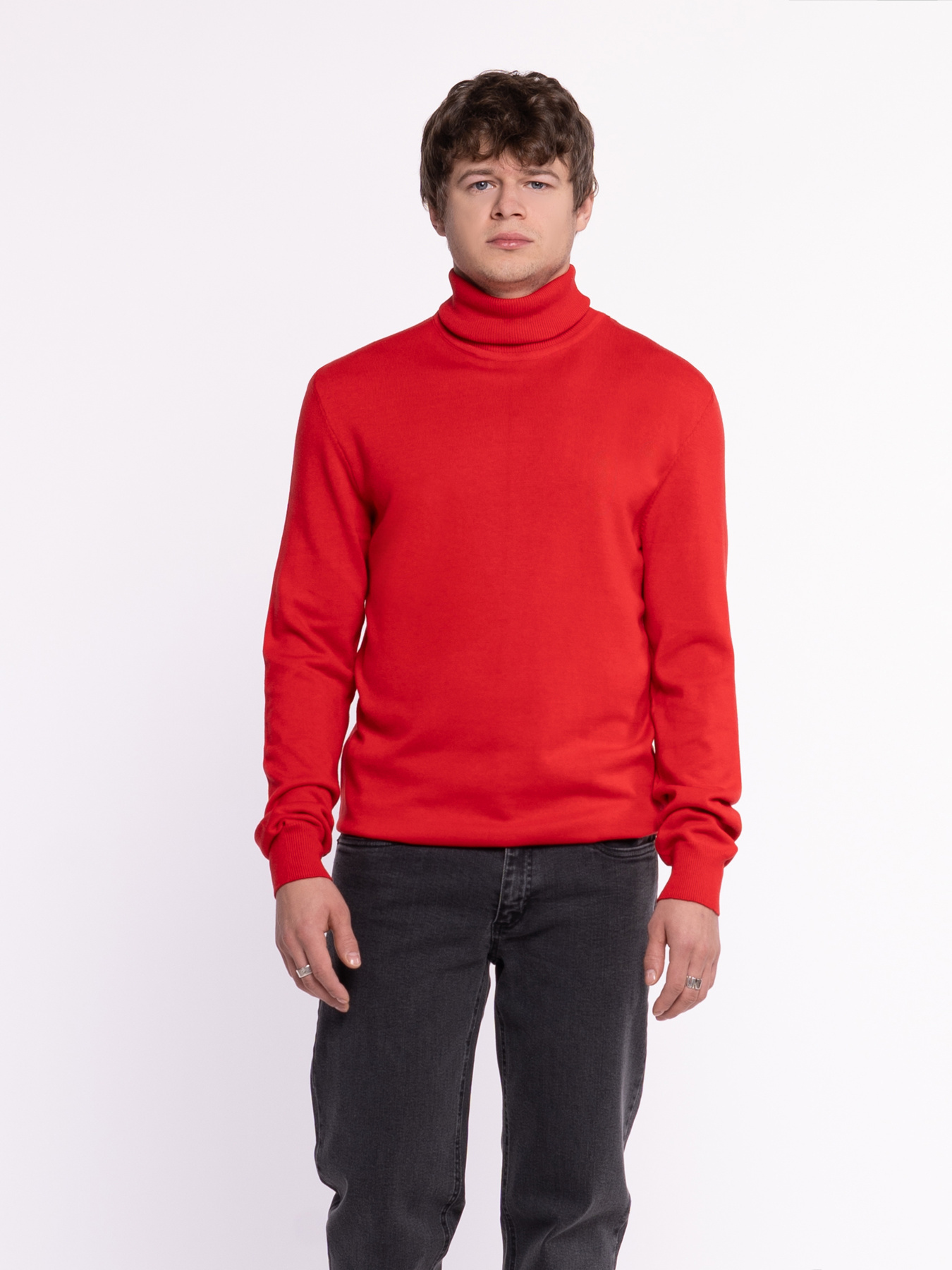 Водолазка Arber модель M10.19.04.531 Фото